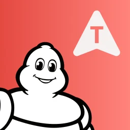 Значок MICHELIN Truckfly - GPS